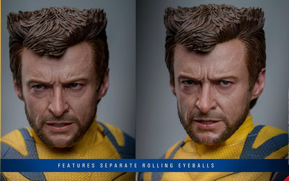 Pre-Order Hot Toys MMS754 Deadpool & Wolverine - 1/6th scale Wolverine Collectible Figure (Deluxe Version)