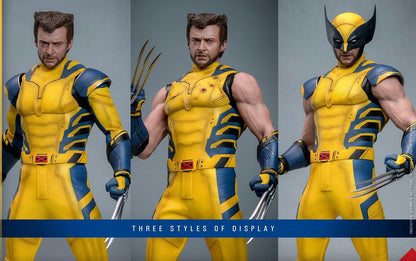 Pre-Order Hot Toys MMS754 Deadpool & Wolverine - 1/6th scale Wolverine Collectible Figure (Deluxe Version)