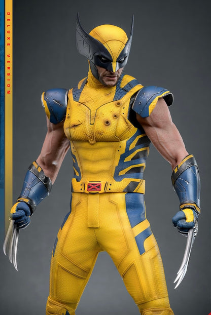 Pre-Order Hot Toys MMS754 Deadpool & Wolverine - 1/6th scale Wolverine Collectible Figure (Deluxe Version)