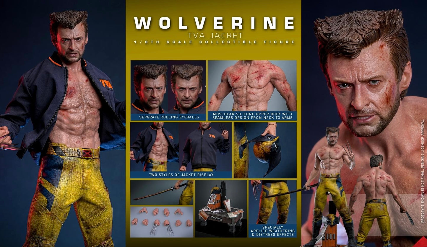 Pre-Order Hot Toys MMS756 Deadpool & Wolverine - 1/6th scale Wolverine (Jacket Version) Collectible Figure