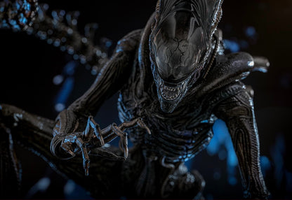 Pre-Order Hot Toys MMS784 Alien: Romulus - 1/6th scale Scorched Xenomorph Collectible Figure