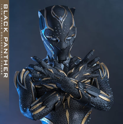 Hot Toys MMS675 Black Panther: Wakanda Forever - 1/6th scale Black Panther Collectible Figure