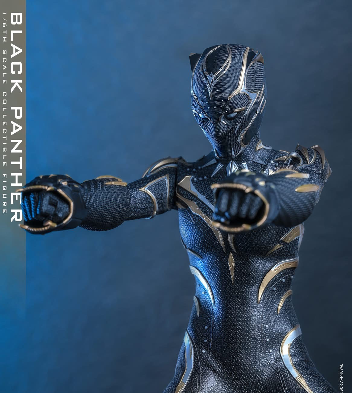 Hot Toys MMS675 Black Panther: Wakanda Forever - 1/6th scale Black Panther Collectible Figure