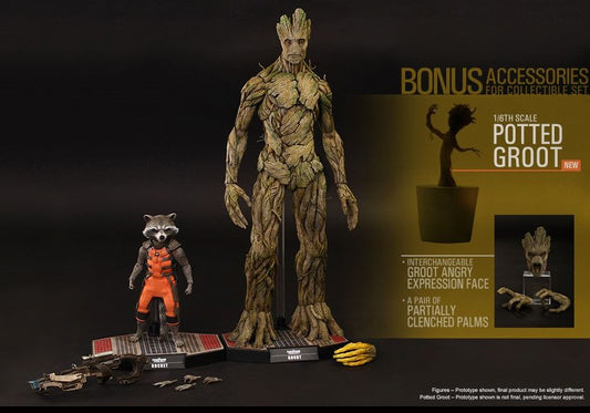 Hot Toys MMS254 Guardians of the Galaxy - 1/6th scale Rocket & Groot Collectible Figures Set