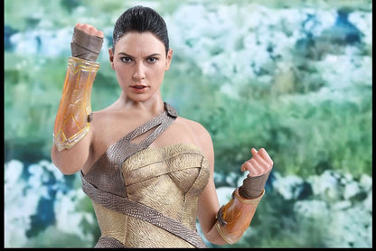 Hot Toys - MMS424 Wonder Woman - 1/6th scale Wonder Woman (Training Armor Version) Collectible Figure
