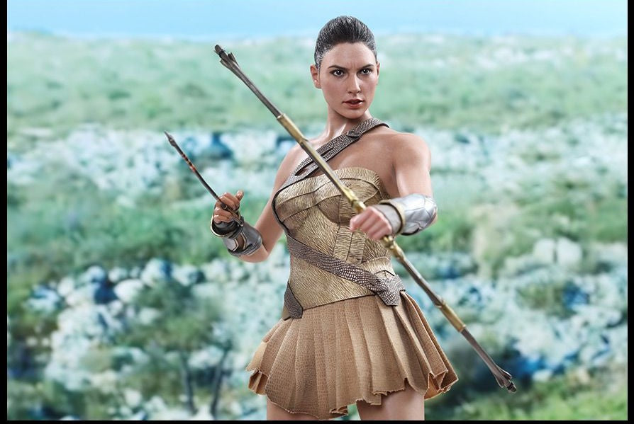 Hot Toys - MMS424 Wonder Woman - 1/6th scale Wonder Woman (Training Armor Version) Collectible Figure