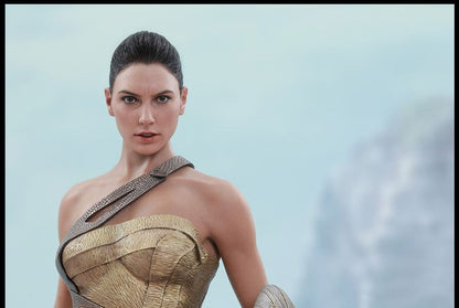 Hot Toys - MMS424 Wonder Woman - 1/6th scale Wonder Woman (Training Armor Version) Collectible Figure