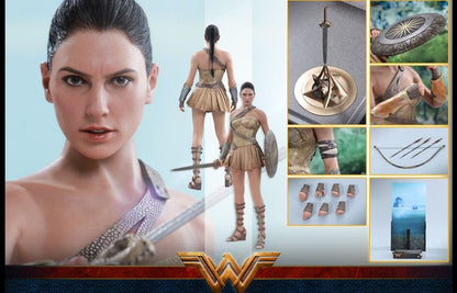 Hot Toys - MMS424 Wonder Woman - 1/6th scale Wonder Woman (Training Armor Version) Collectible Figure