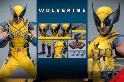 Pre-Order Hot Toys MMS753 Deadpool & Wolverine - 1/6th scale Wolverine Collectible Figure